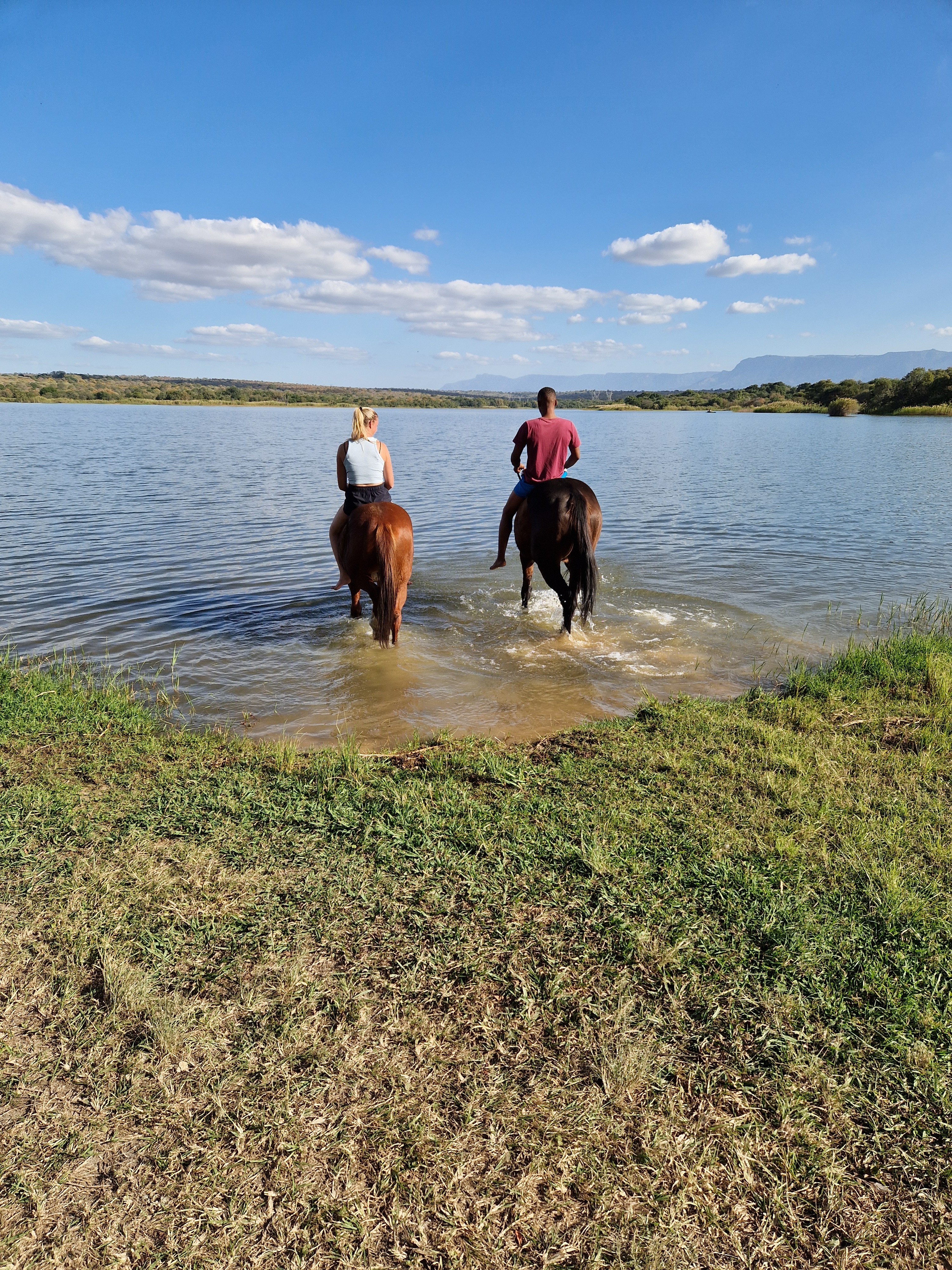 Kilimanjaro Elephant Ride, Arusha National Park, Tanzania – elefant i högt gräs tittar mot kameran, medan fem ryttare till häst på ridsafari i bakgrunden betraktar elefanten i ett grönt och frodigt landskap.