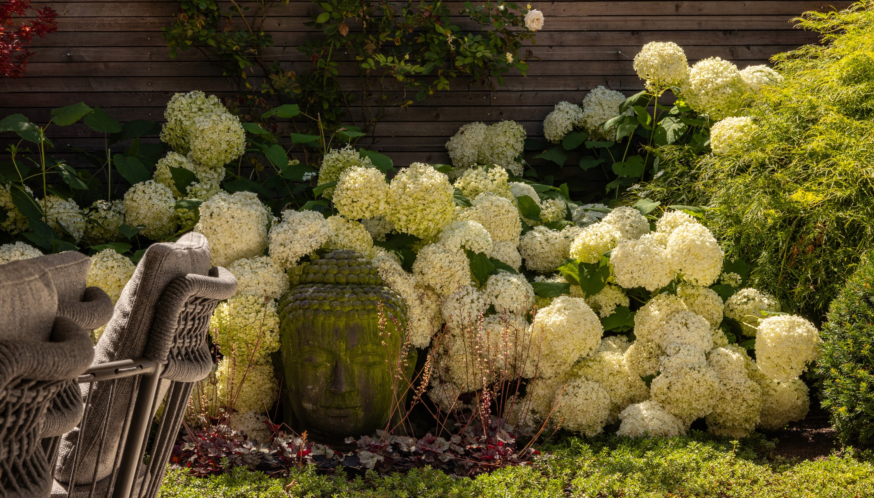 Blühendes Hortensienbeet mit dekorativem Gartenobjekt vor Holzsichtschutz.