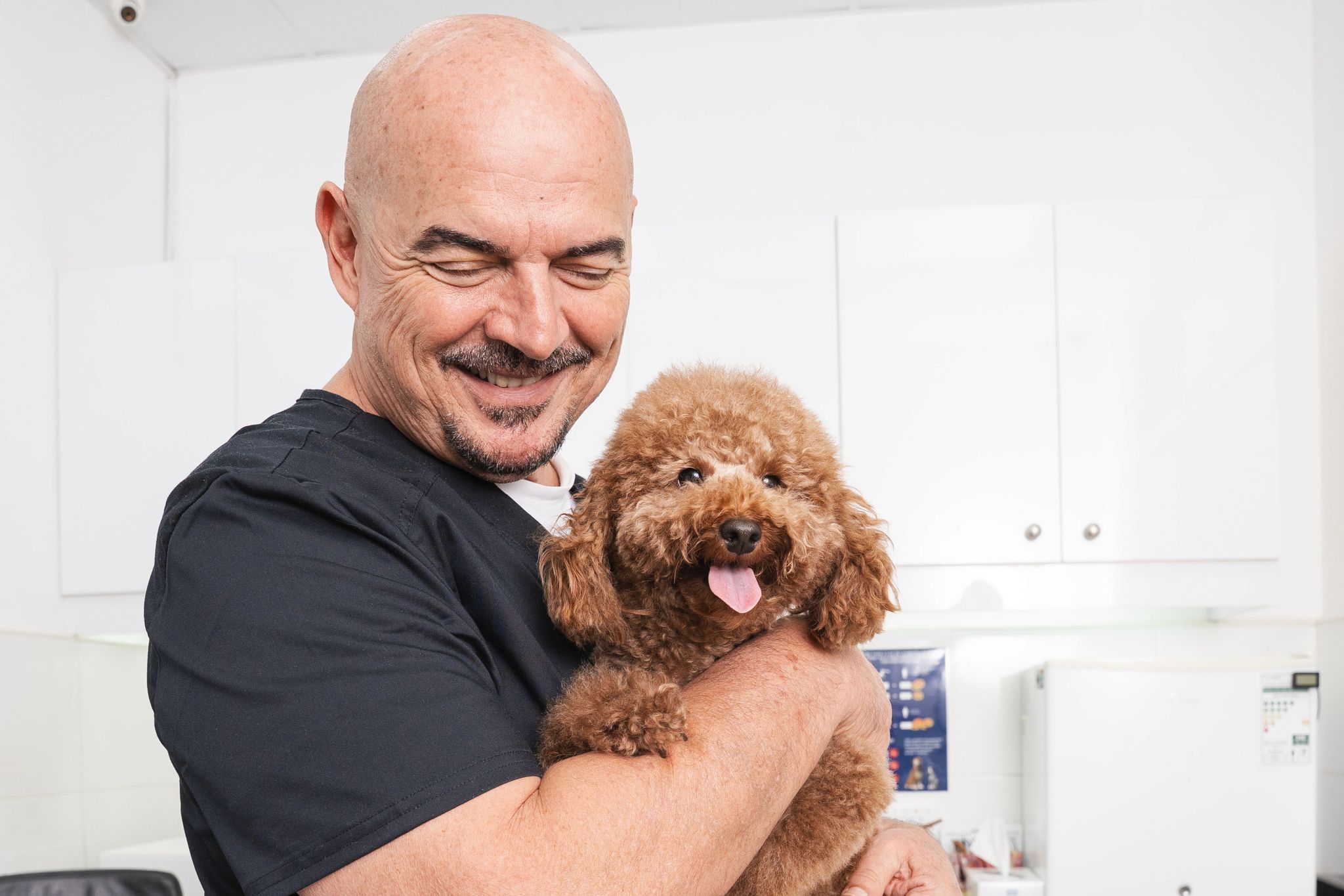 Veterinarian in a black shirt smiling while holding a happy brown poodle in his arms. The background is a white room, conveying warmth and affection.
