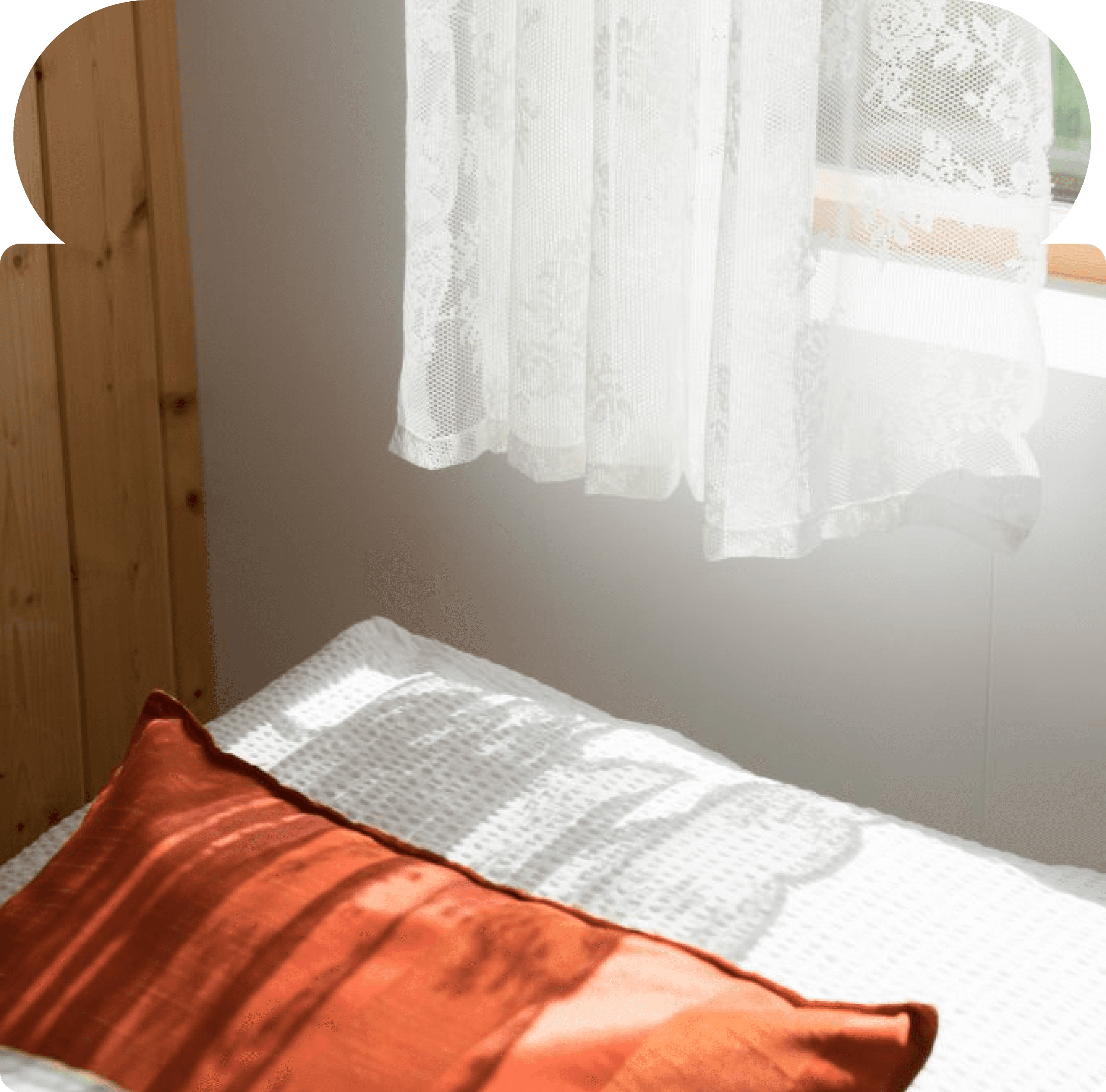 Natural sunlight through sheer curtains illuminating a cozy bed with white bedding and a rust-colored pillow.