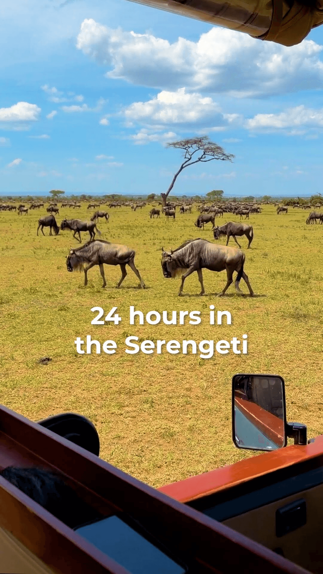 InstantDM - Instagram DM Automation tool