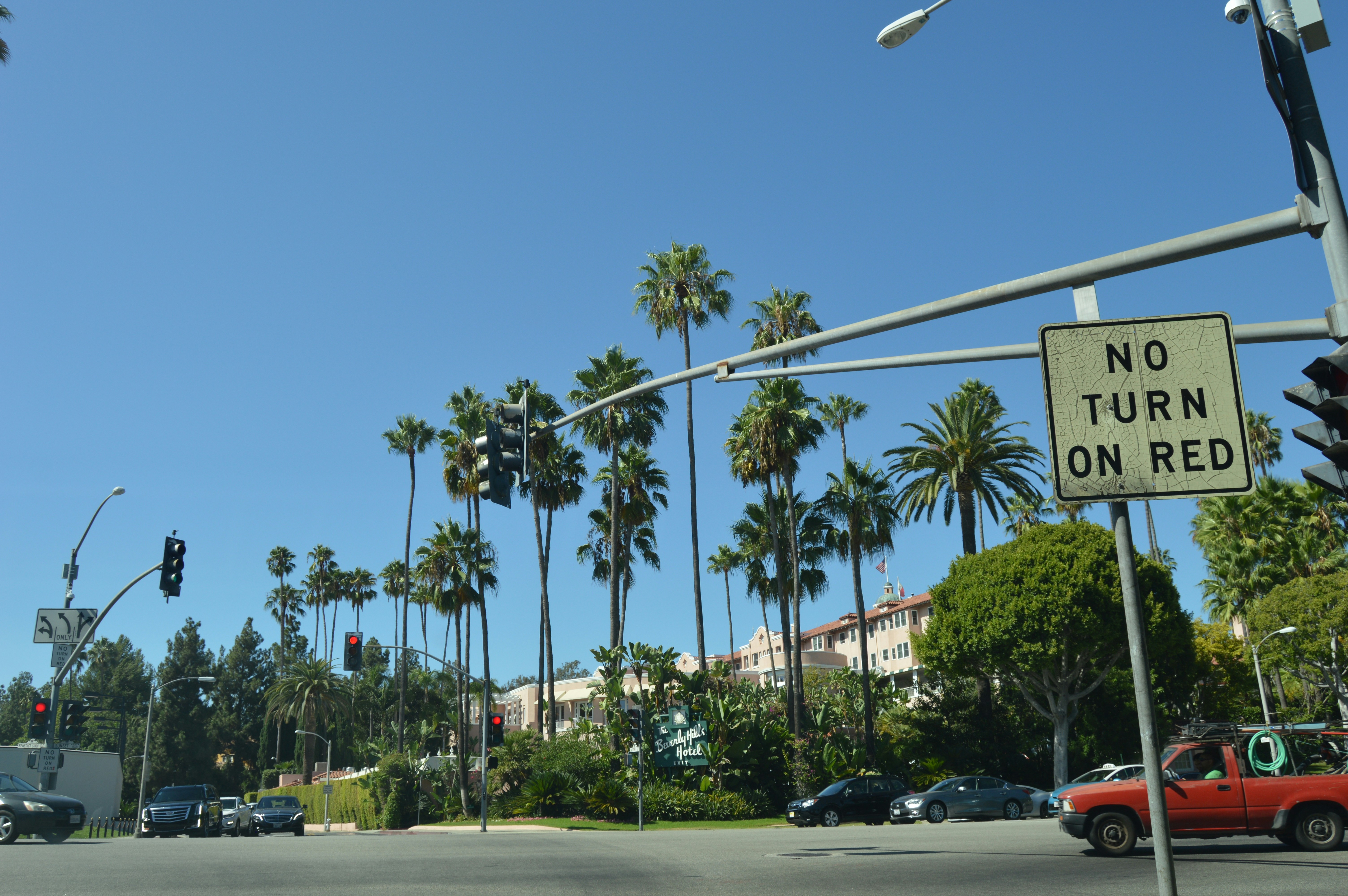 Palm trees line a street with buildings and cars.