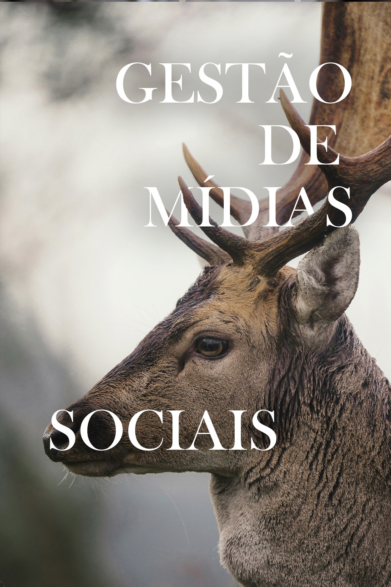 two ladies looking at a laptop and smiling