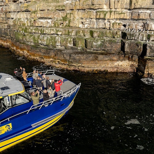 一艘蓝色游览船，乘客穿着冬季服装，正在水面上的岩壁拍摄鸟类照片。