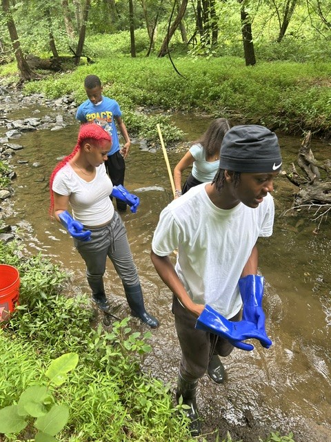 Young people in waders and gloves conducting stream fieldwork in a wooded creek