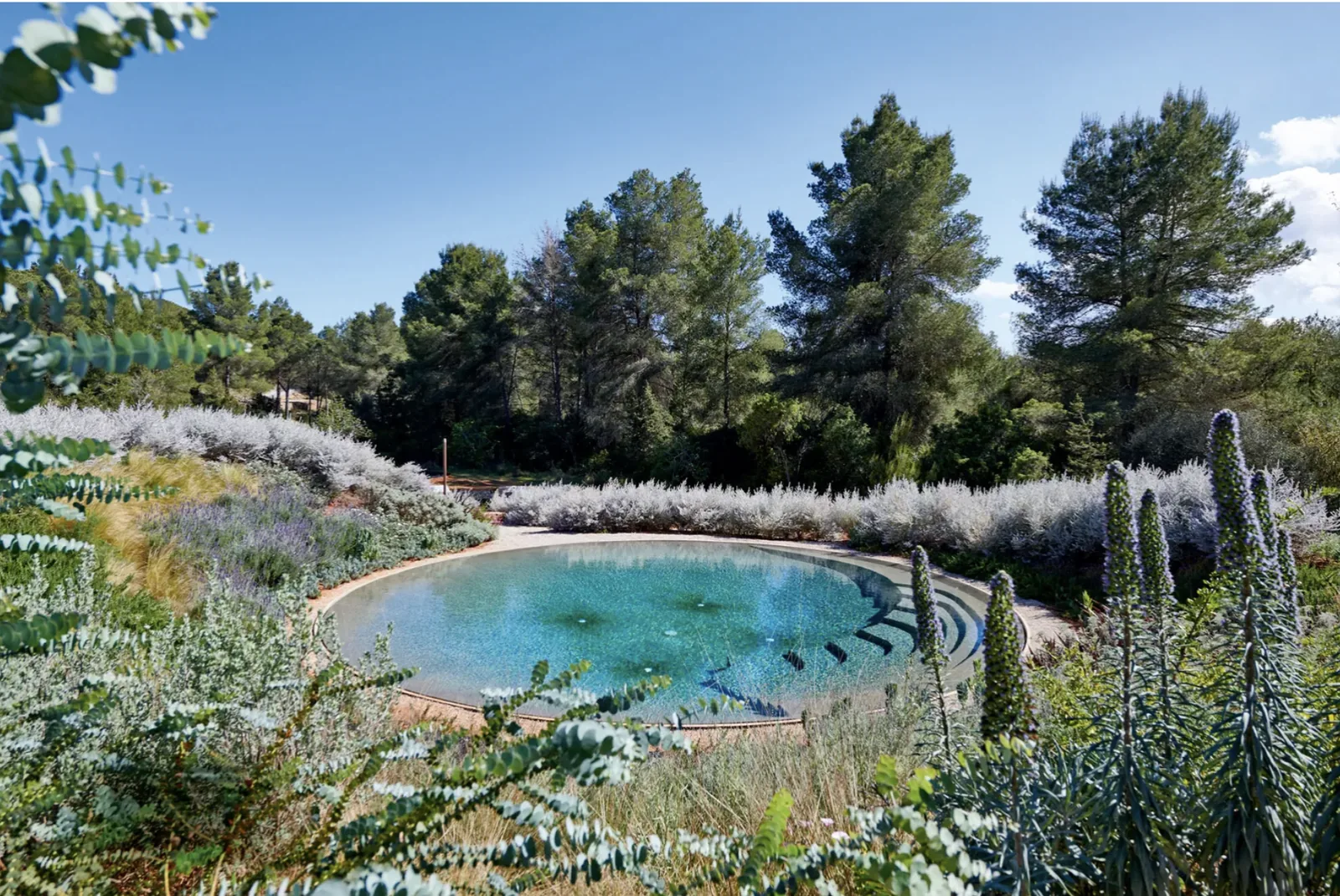 vista ojo de agua y bosque