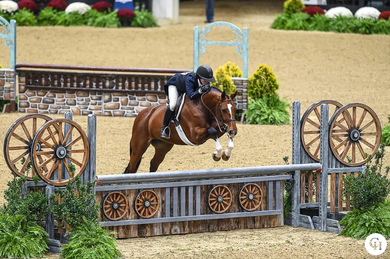 The National Horse Show