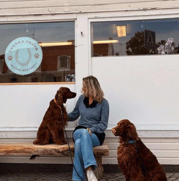 Hundar utanför secondhandbutiken Tassa och Trava – Bättre begagnat.