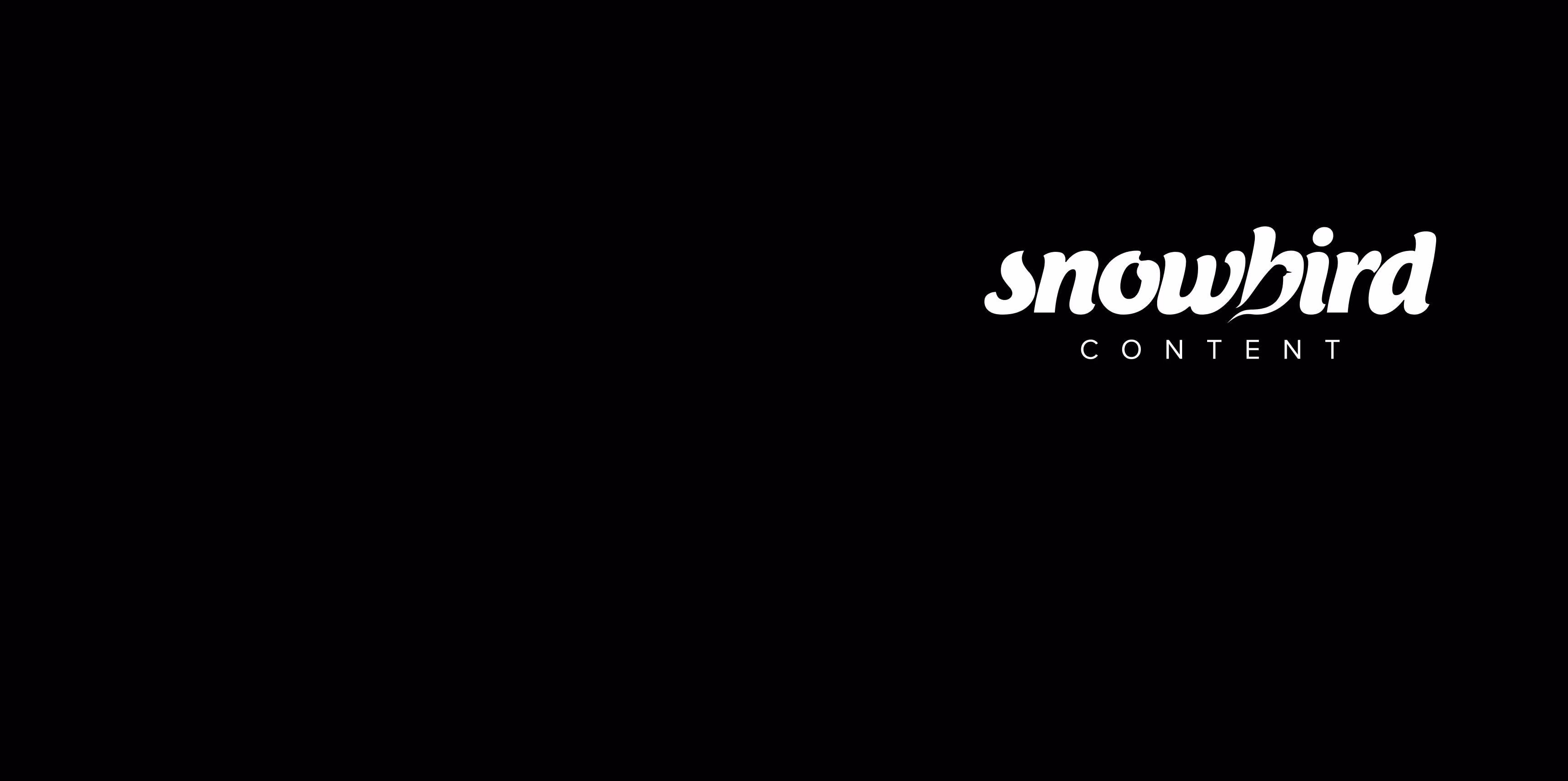 Snowbird Content company profile and branded messaging from the completed creative project