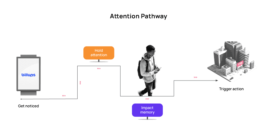 Attention-Pathway (1)