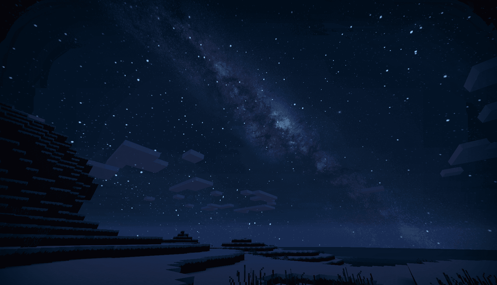 silhouette of trees near Aurora Borealis at night