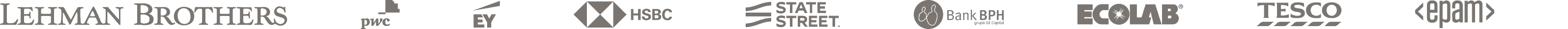 Doświadczenie zespołu: Lehman Brothers, PwC, EY, HSBC, State Street, Bank BPH, Ecolab, Tesco, EPAM