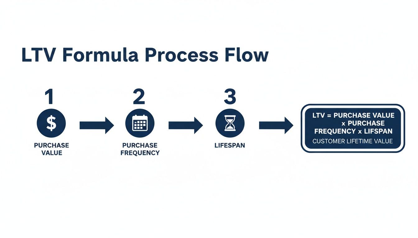 A process flow for LTV calculation showing purchase value, frequency, and lifespan leading to the formula.