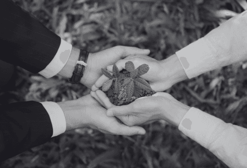 low-angle photography of four high-rise buildings