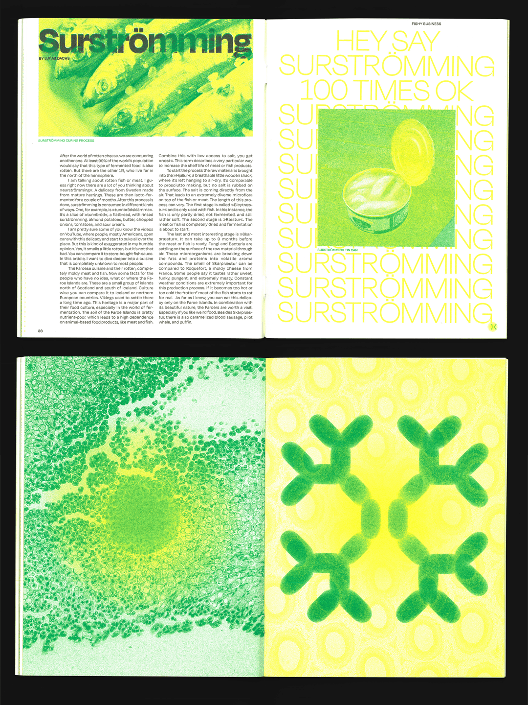 RISOMISO, risographic publication, Matthäus Jandl