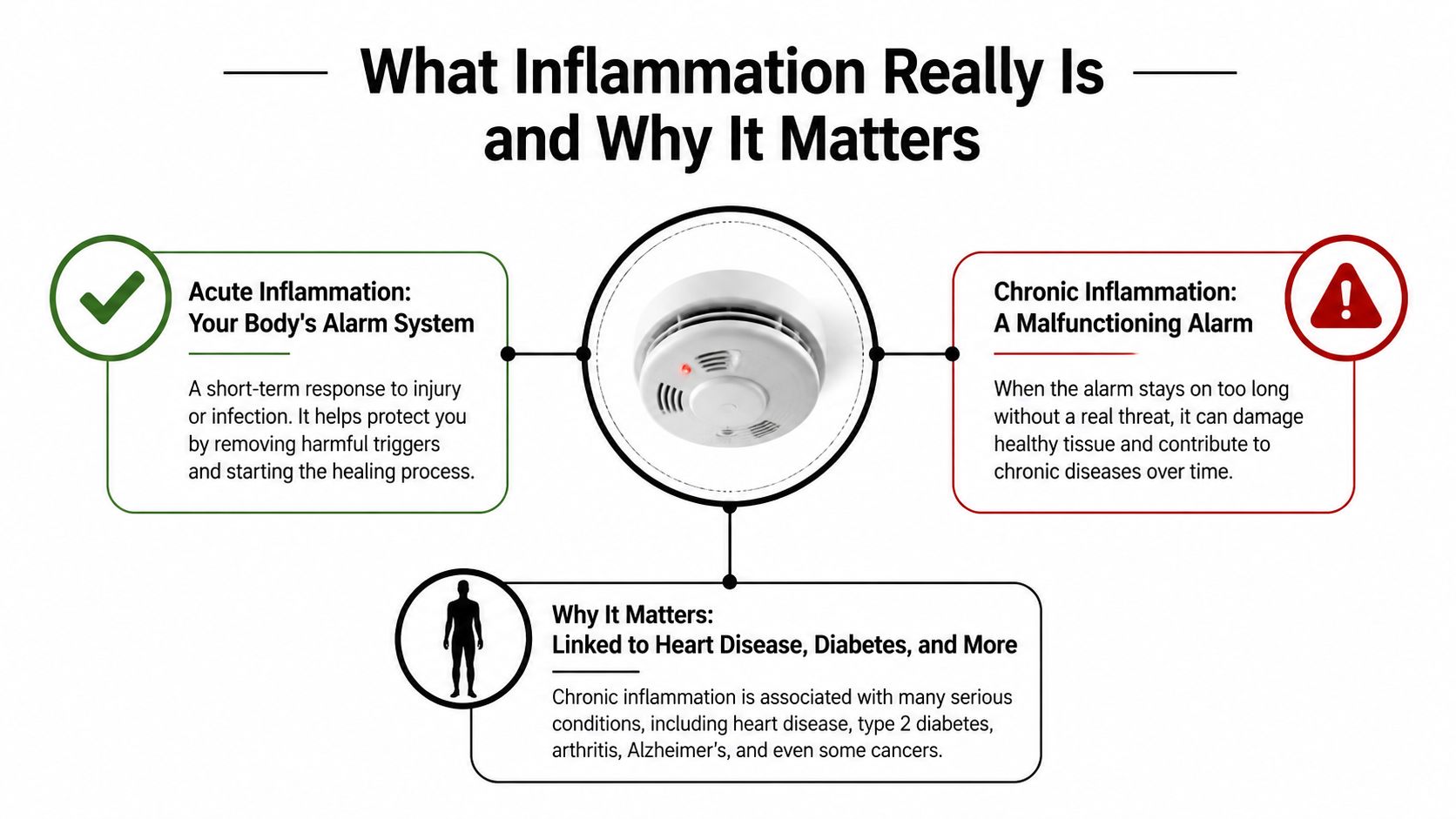 A diagram comparing acute inflammation as a protective alarm and chronic inflammation as a harmful, persistent process.