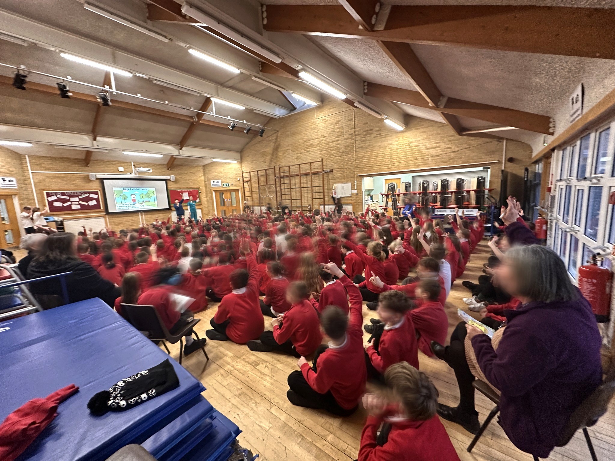 Glebelands Primary Shool 