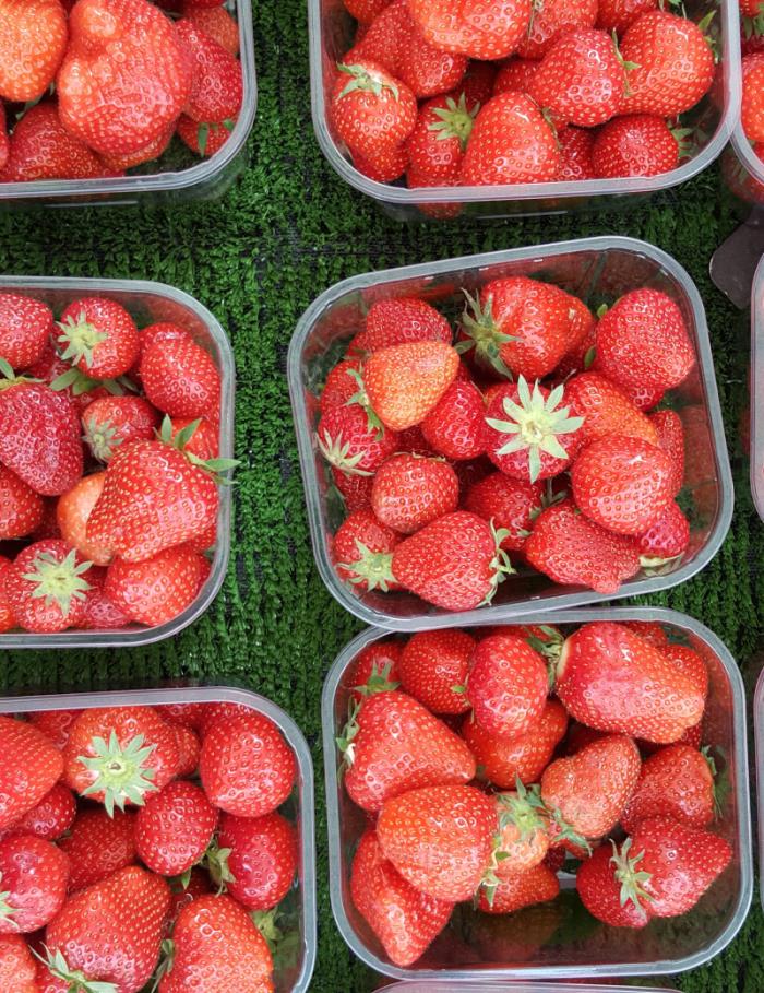Fragole nei contenitori