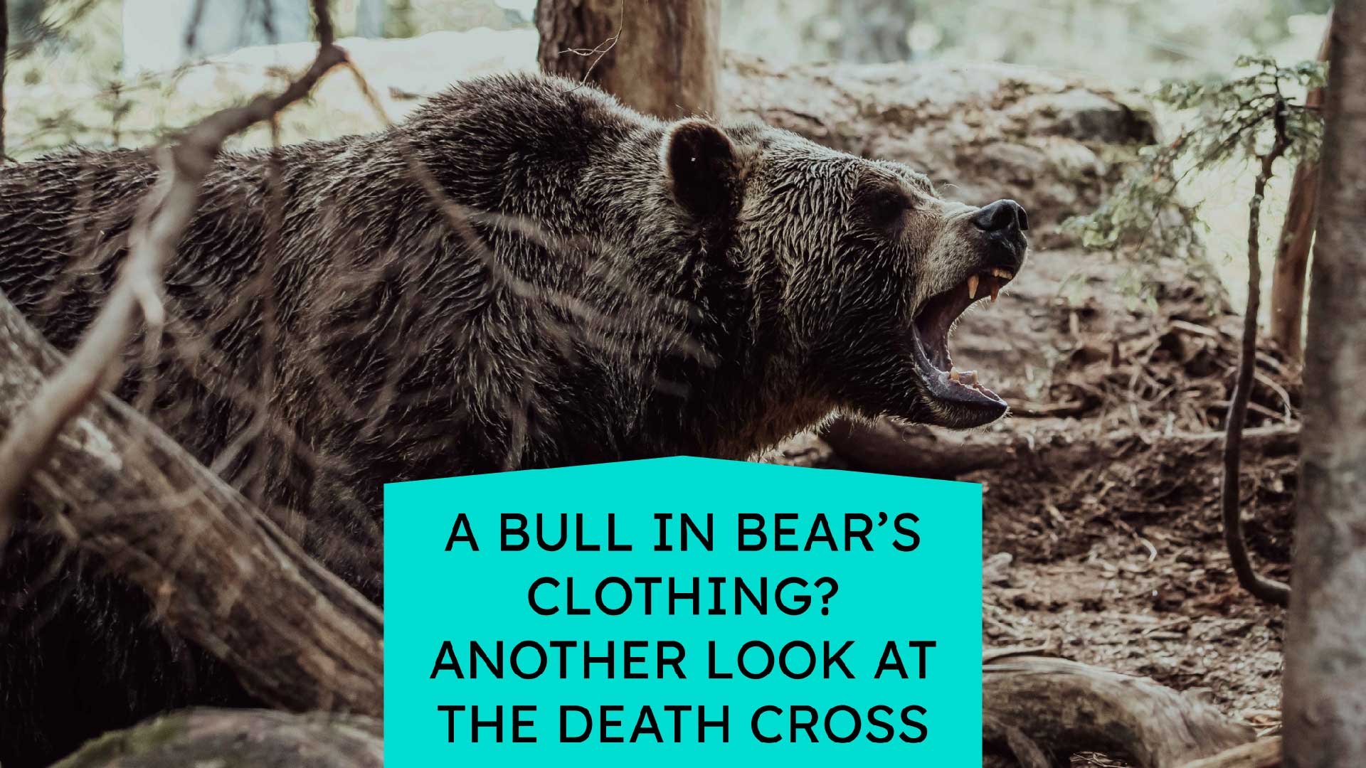 A Bull in Bears Clothing Another Look at the Death Cross