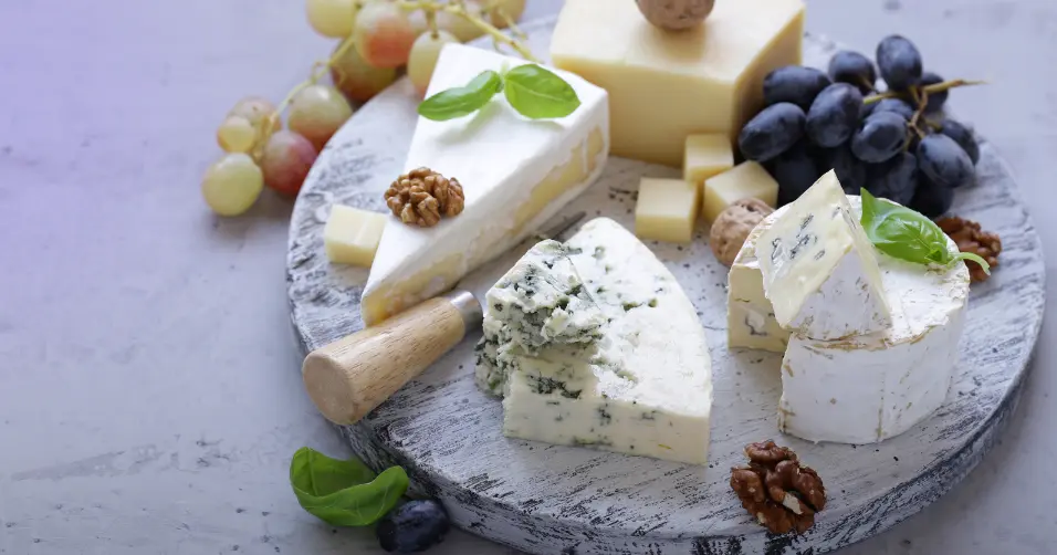 Cheeses high in protein can enhance daily nutrient intake.