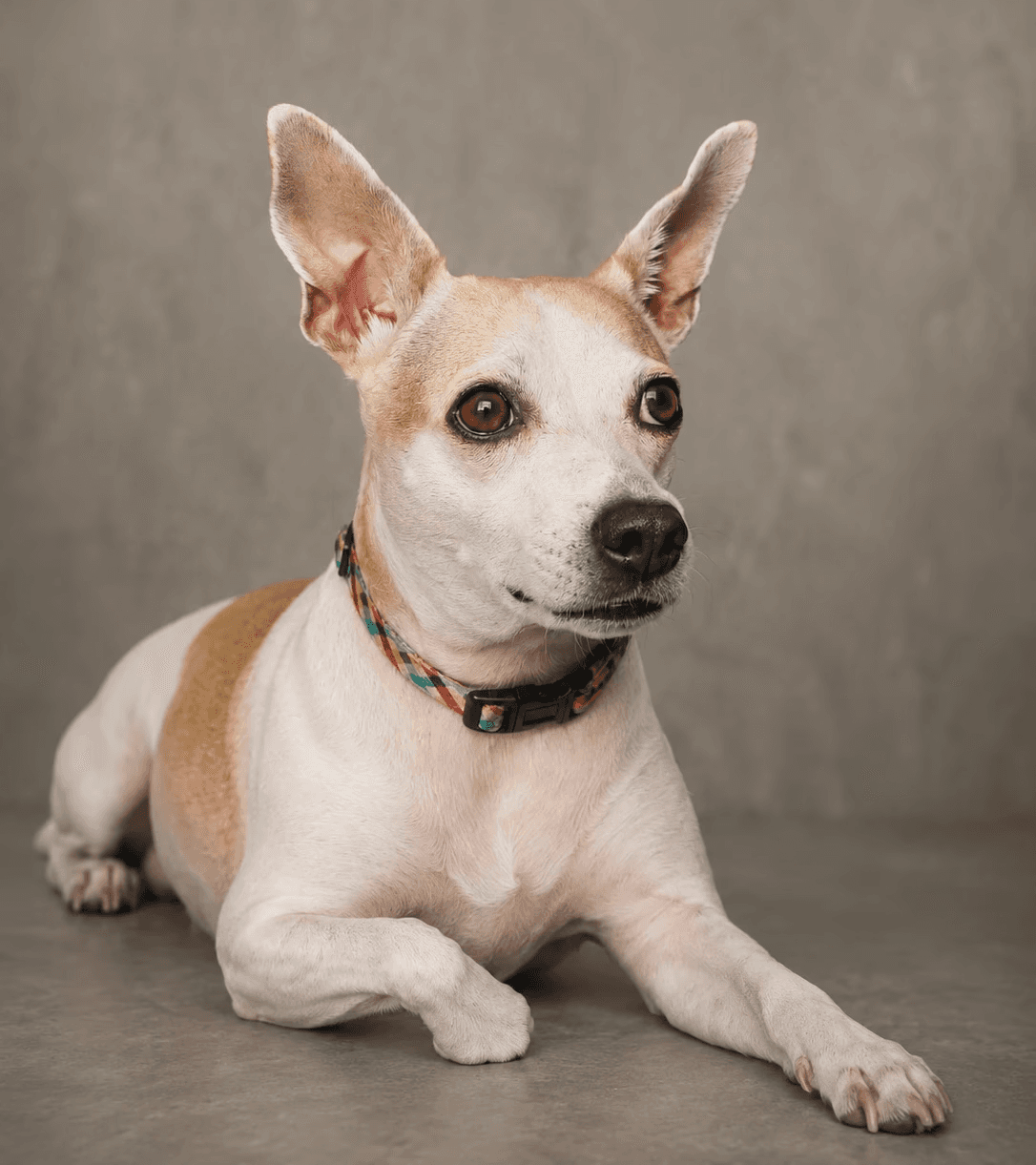 Profile image representing a member of the design team.