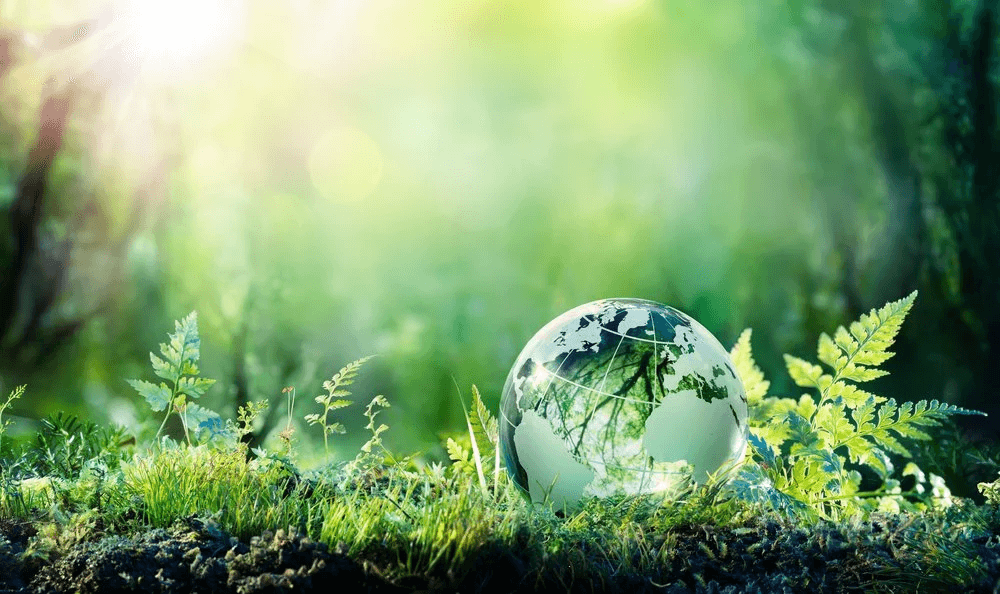 High school student reviewing environmental science research paper for journal submission
