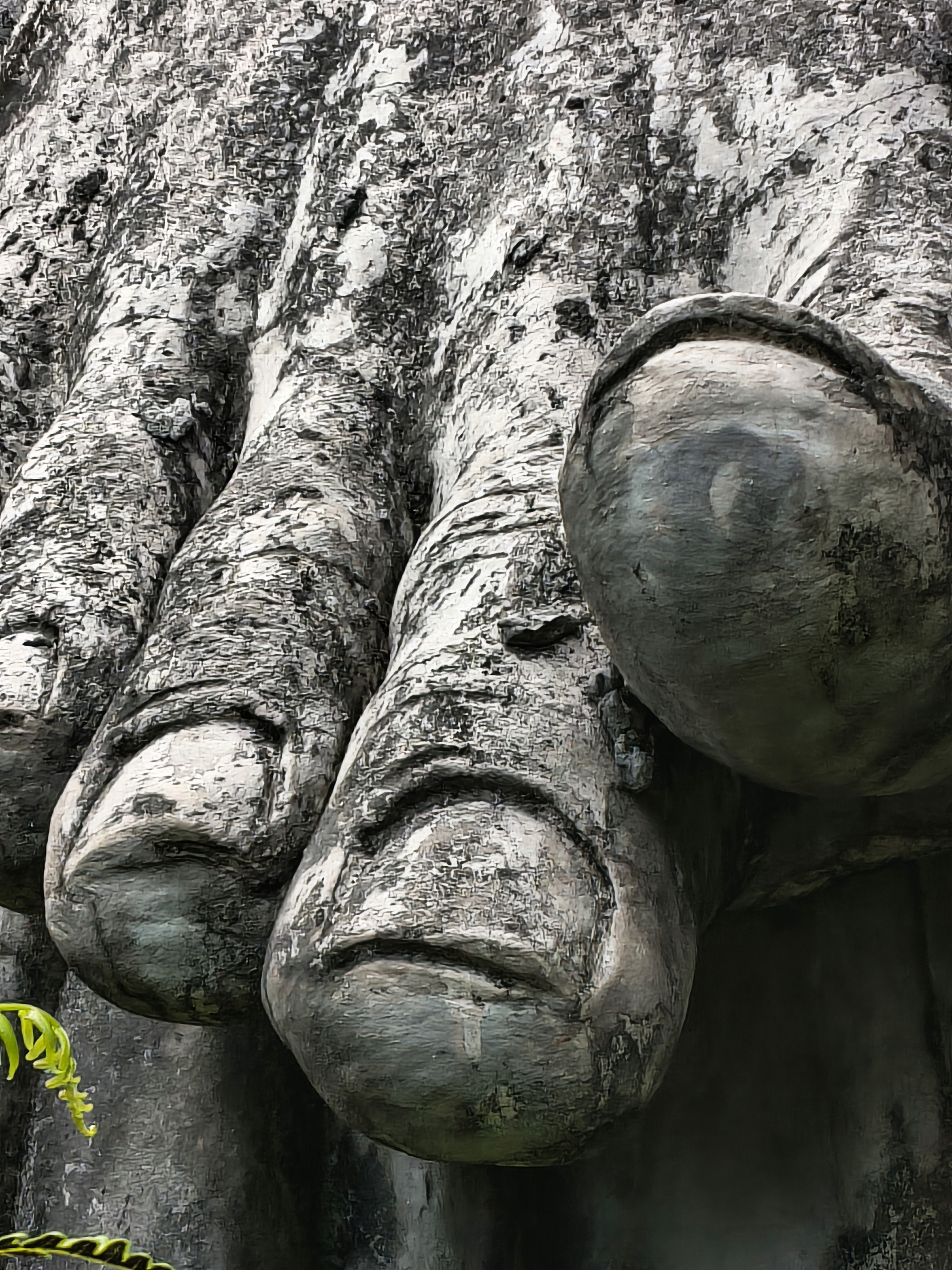 Rebel Travelers Club idea