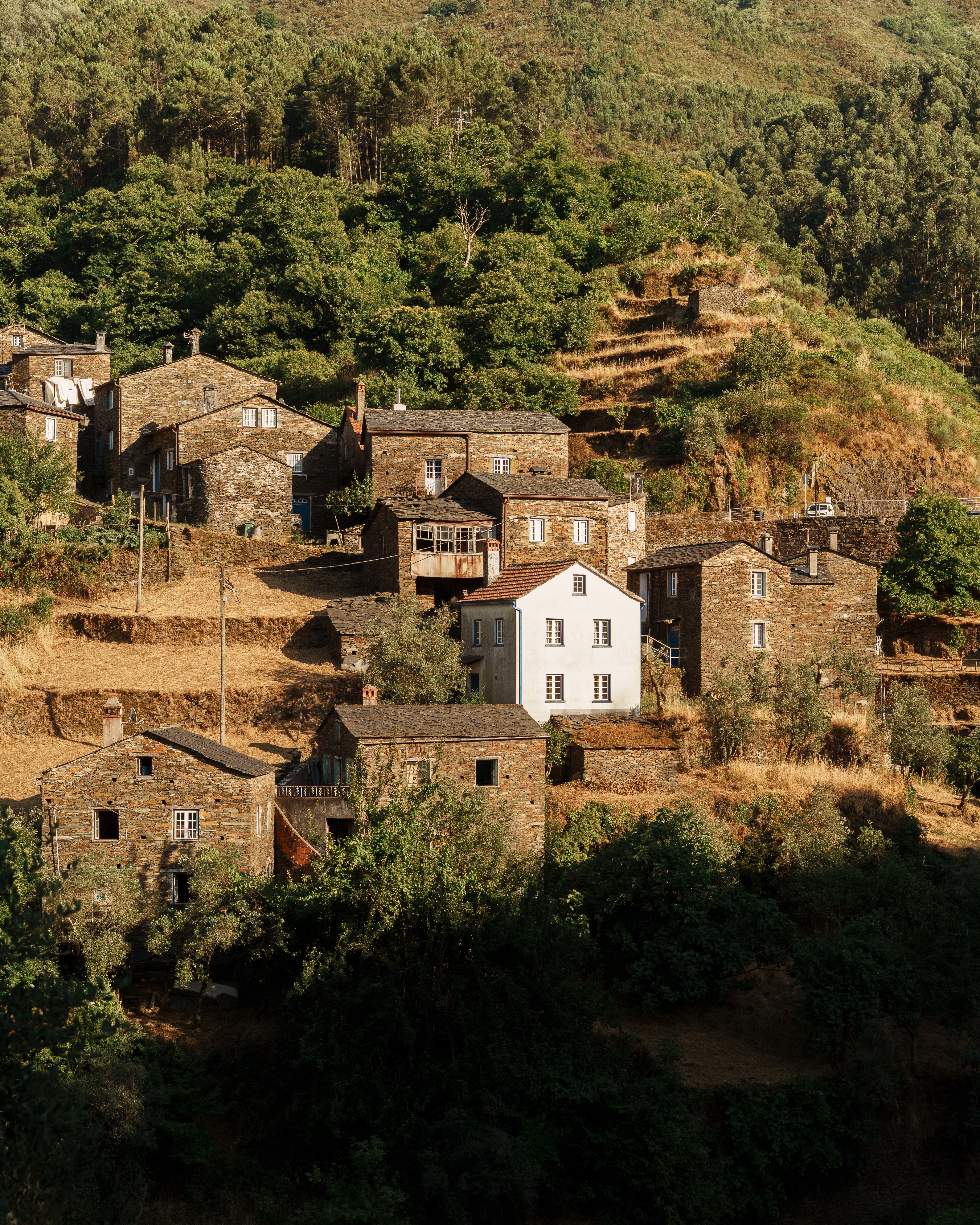 Traditional village houses in warm afternoon light
