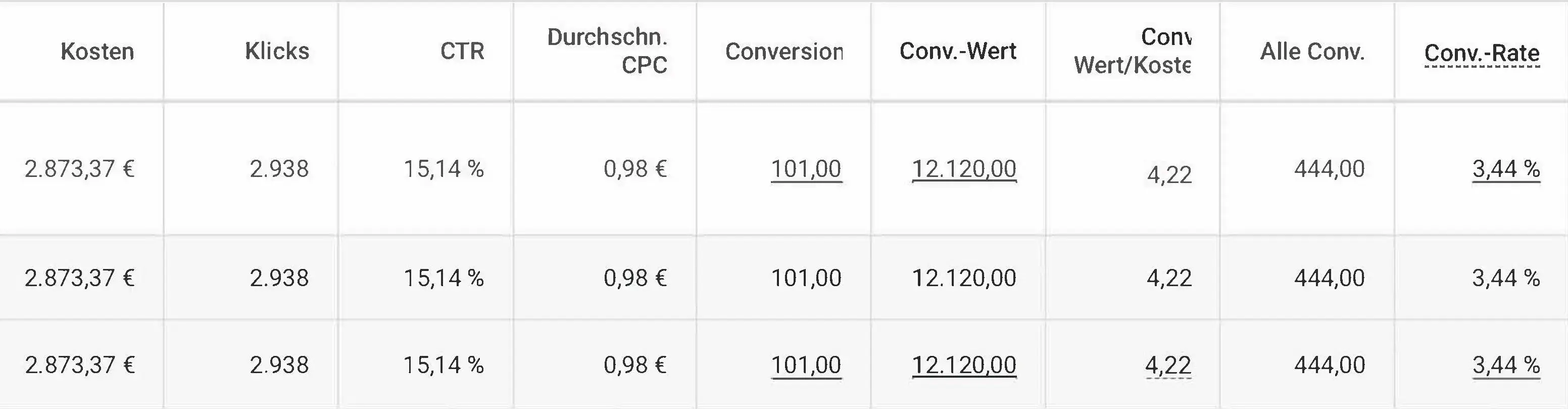 Erfolgskennzahlen der Google Ads Kampagne für Seidenglanz – über 100 Conversions mit hoher Rentabilität