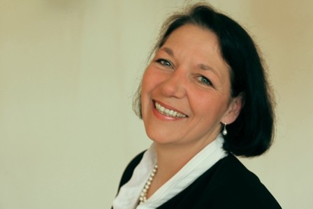 Close-up of a tree stump showing growth rings and a textured brown wood surface.
