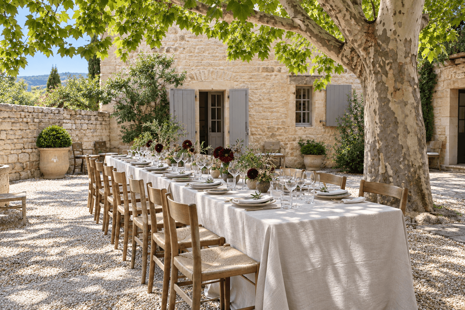 Event concept: a sunlit lunch beneath a plane tree in Provence