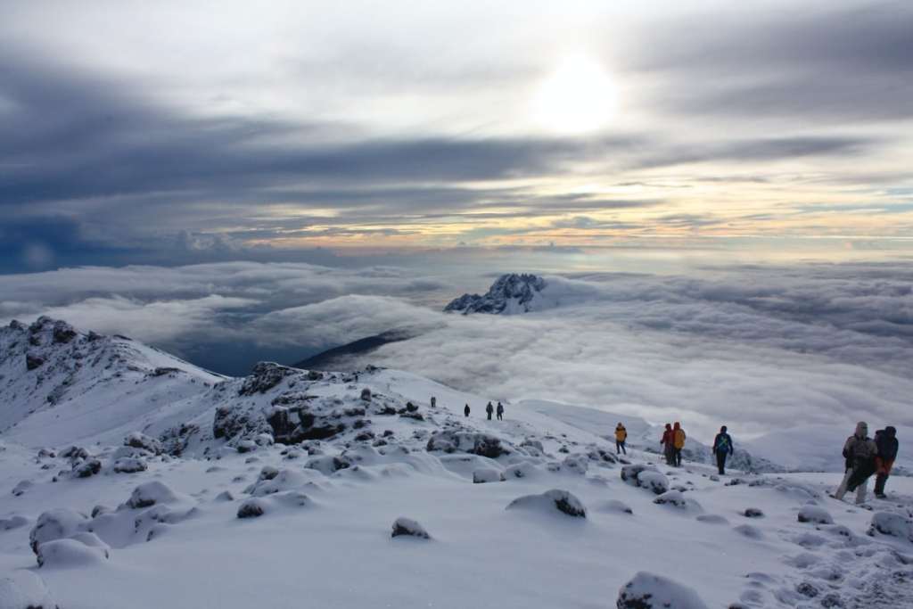 Snowy summit of Kilimanjaro