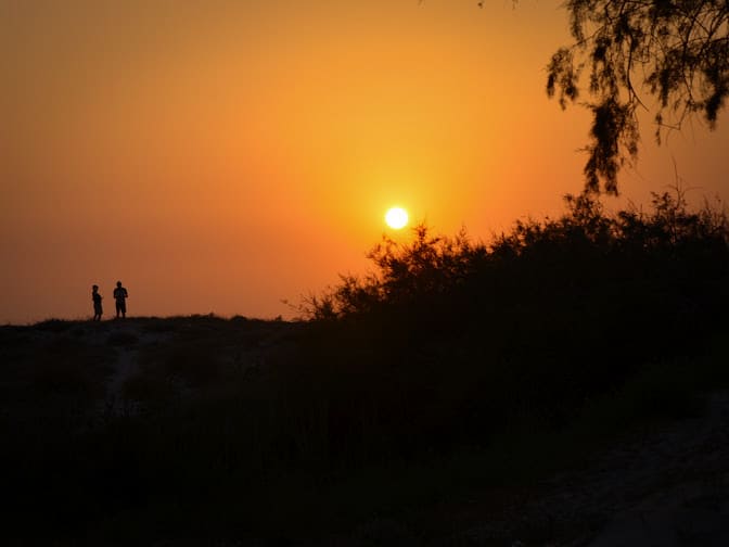 Women On Neon Background