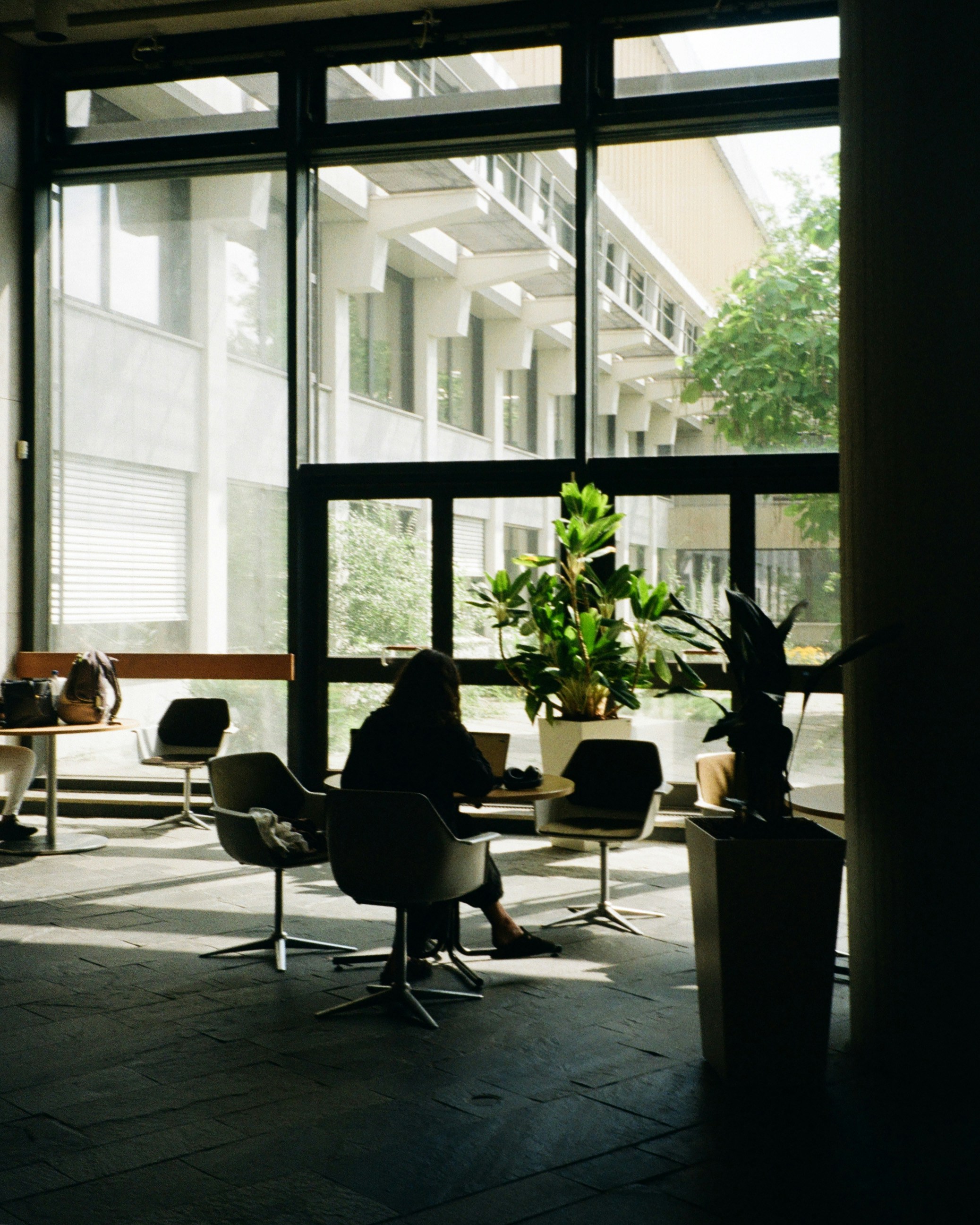 Person works on laptop near large window with plants.