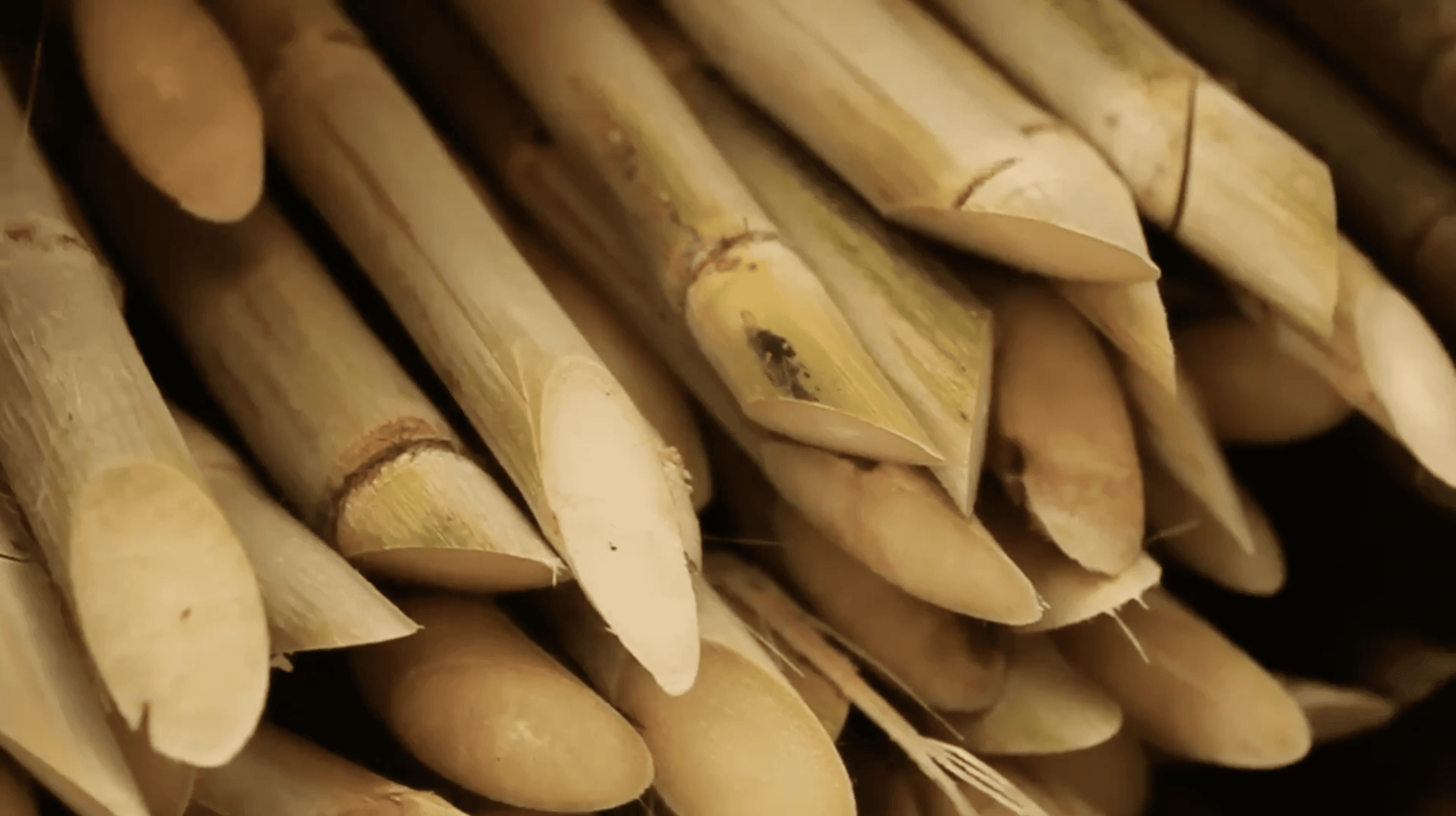 um-dia-na-feira-telesur-thumb