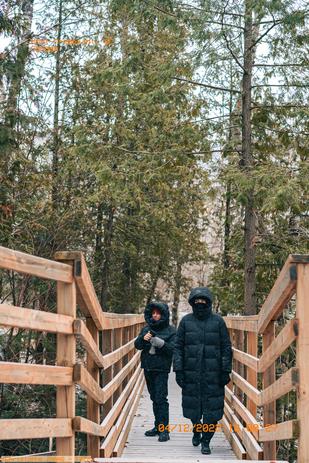 Promenade hivernale sur une passerelle entourée d'arbres à Mont-Tremblant.