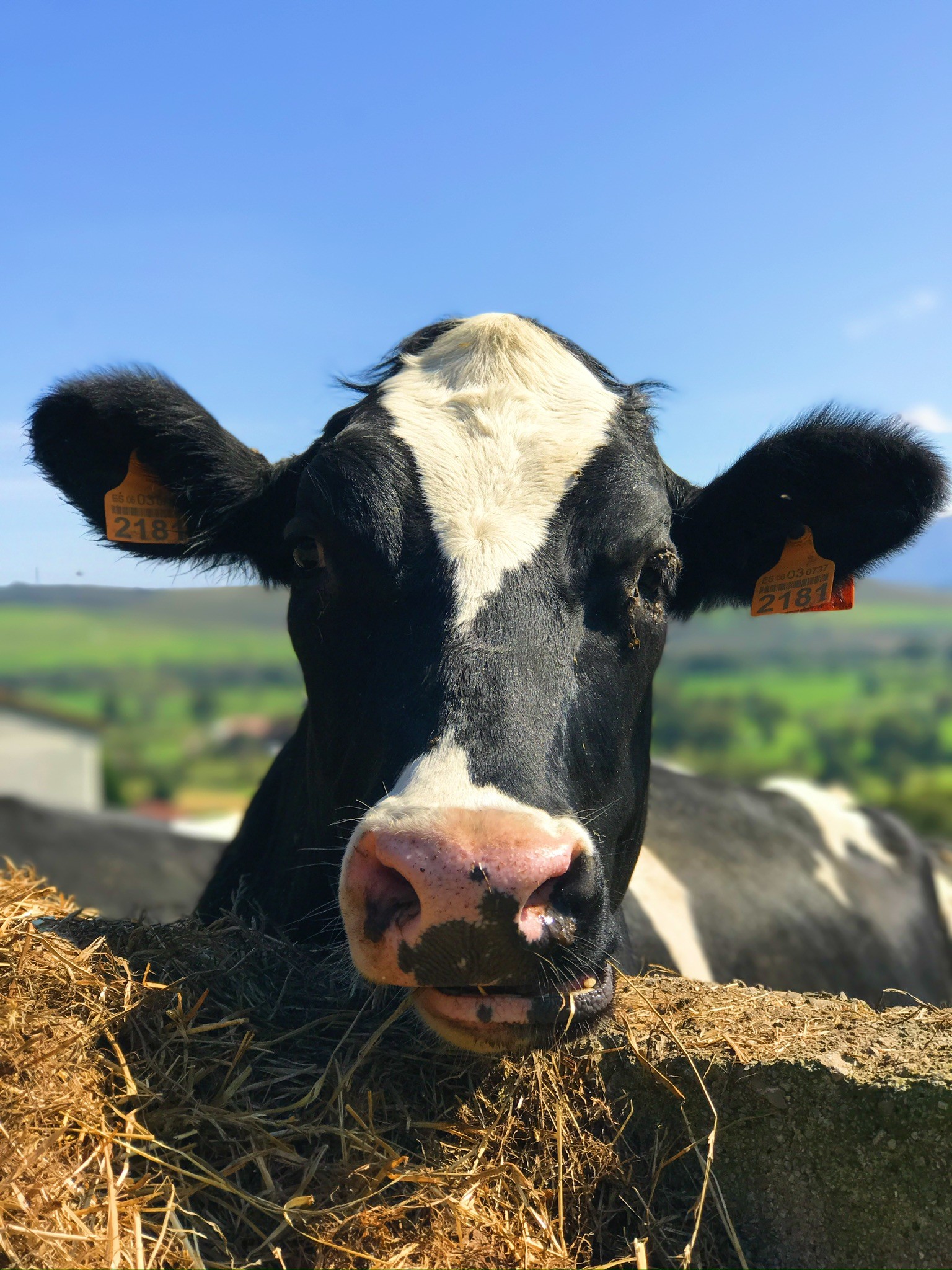 A smiling woman with her arms crossed, standing against a dark green background. She has long, dark hair.