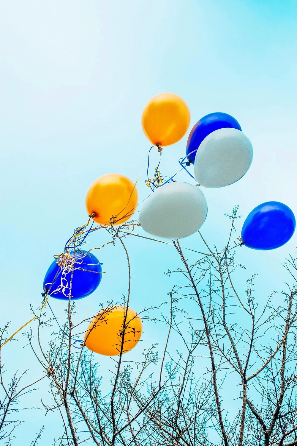 Photo by Charlotte Harrison on Unsplash