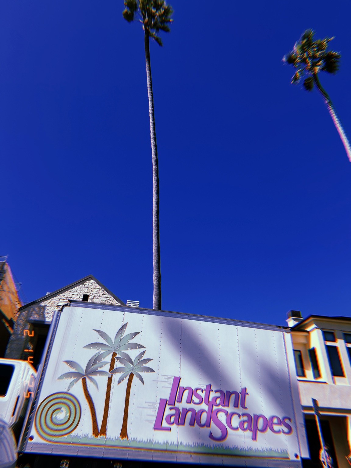 Palm illustrations on an Instant Landscapes truck beneath two real palms