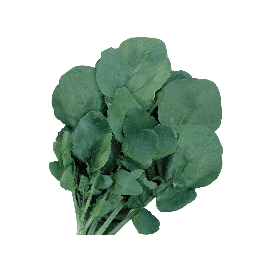 agriao-serra-calixto