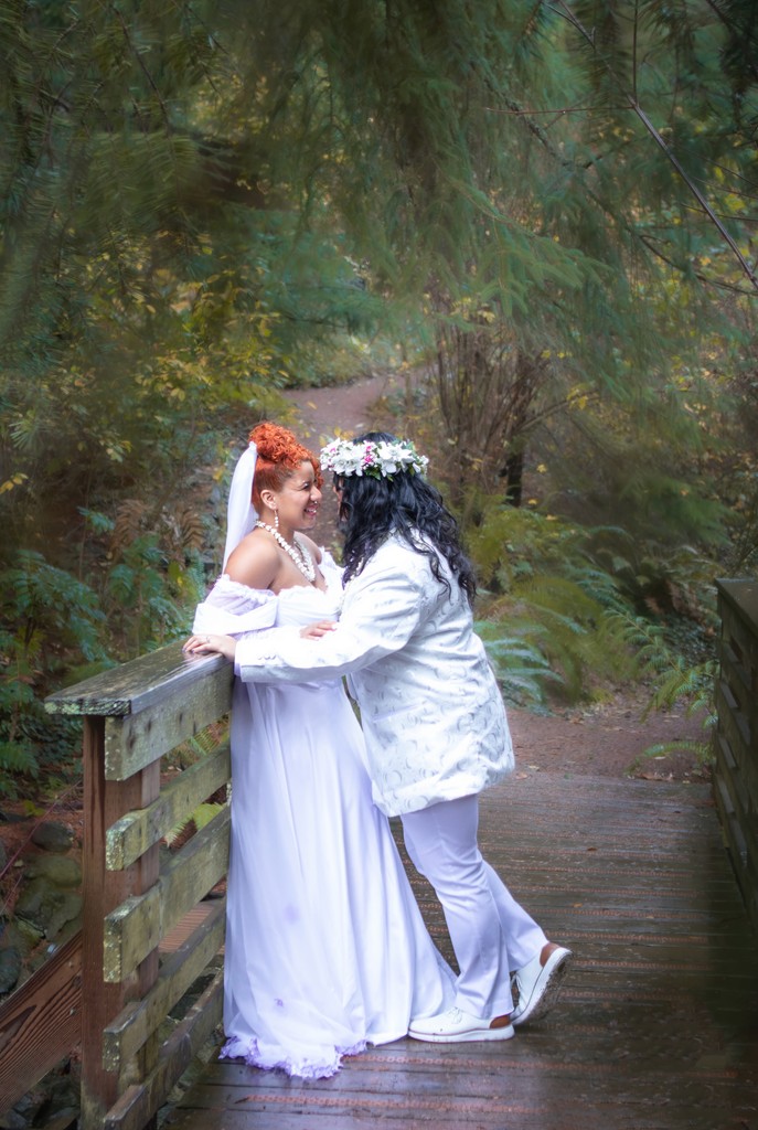 Album Photo Real Mehedi Free Framer Template Photography