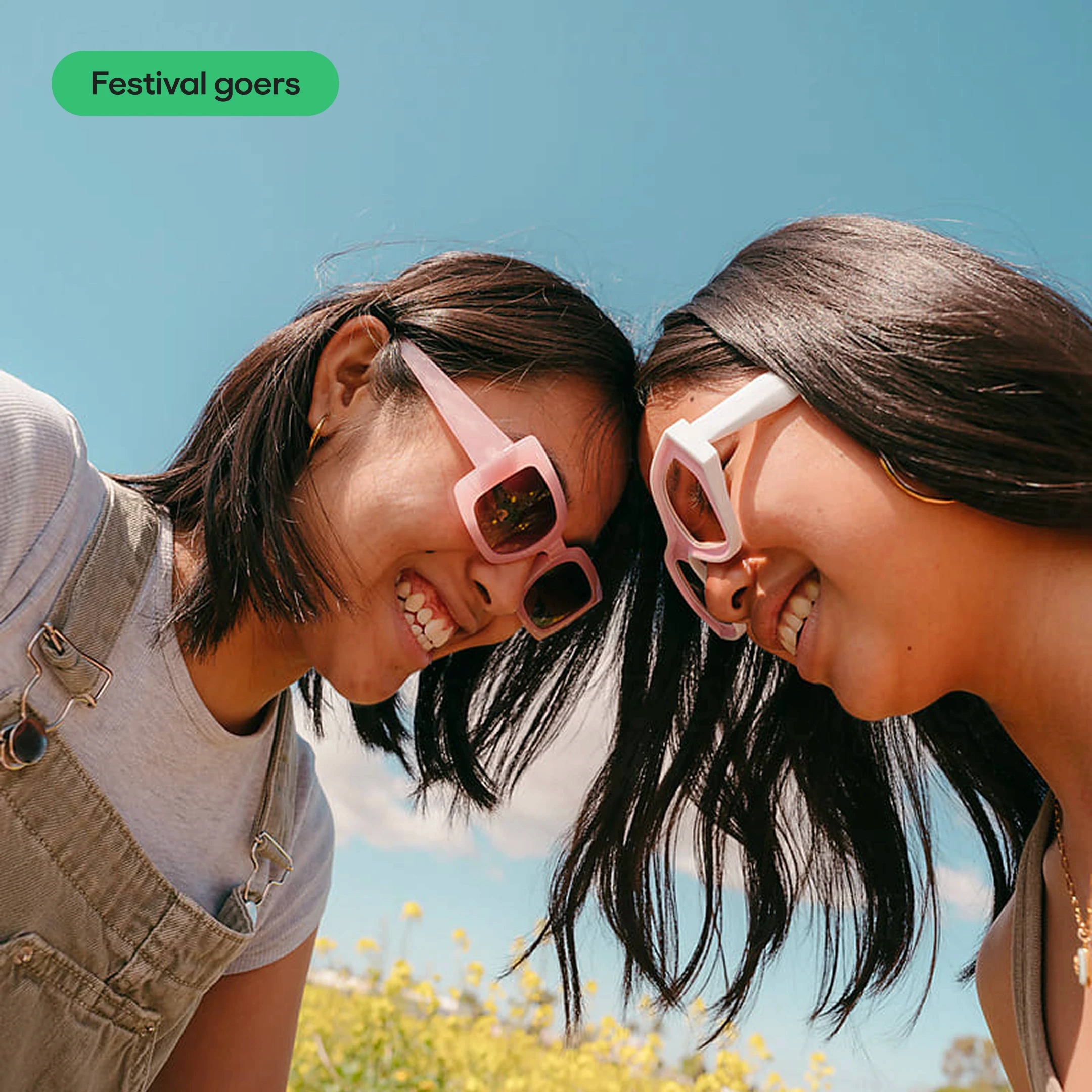 Dom Pérignon vineyards from the sky