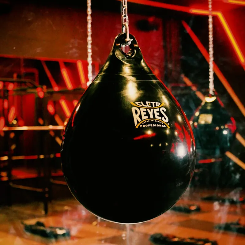 Costal de box Cleto Reyes en LAVVA