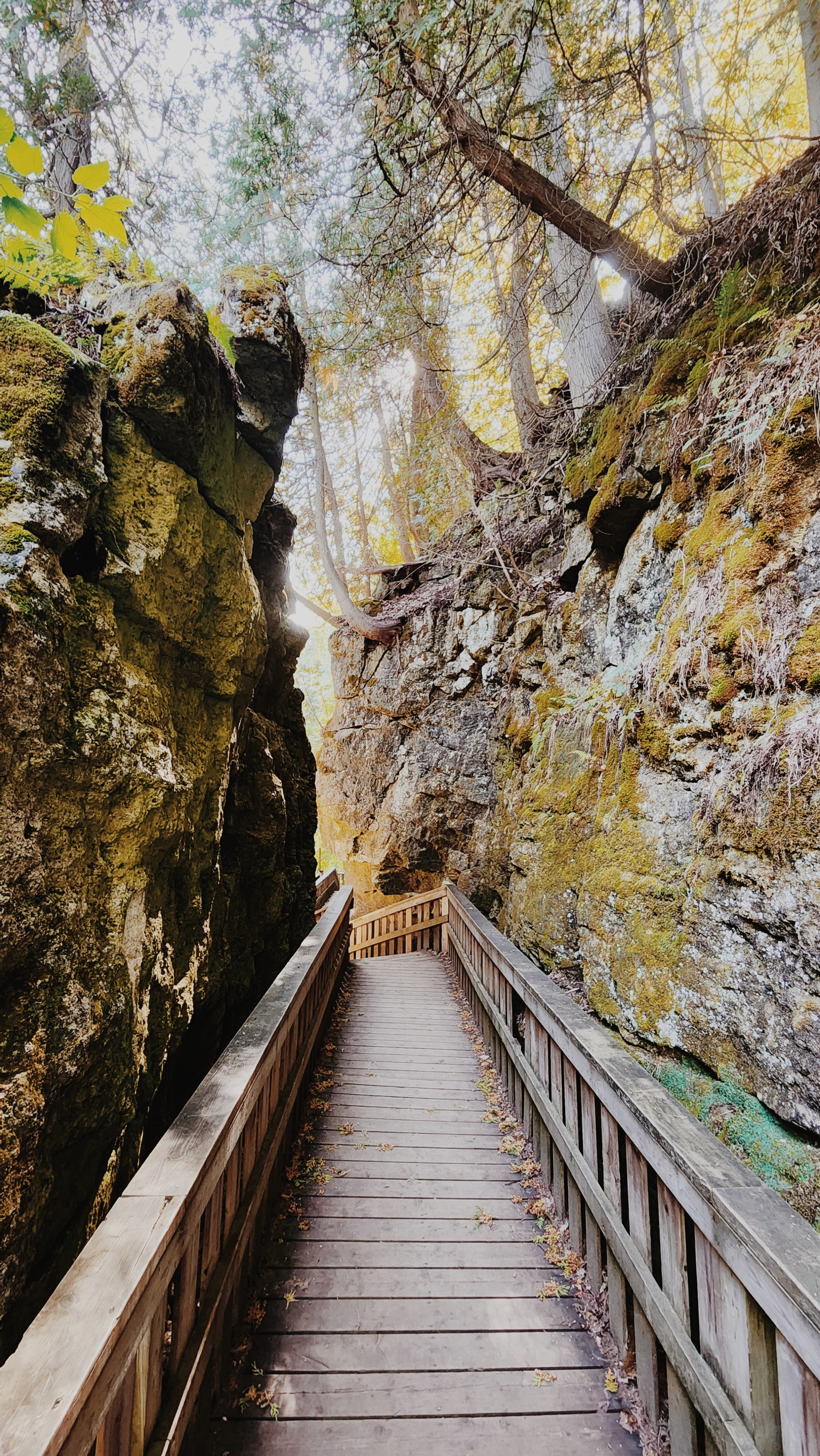 Riding a bicycle with V sign