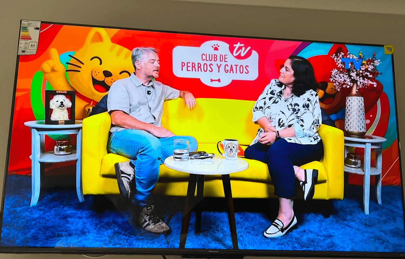 Club de Perros y Gatos TV