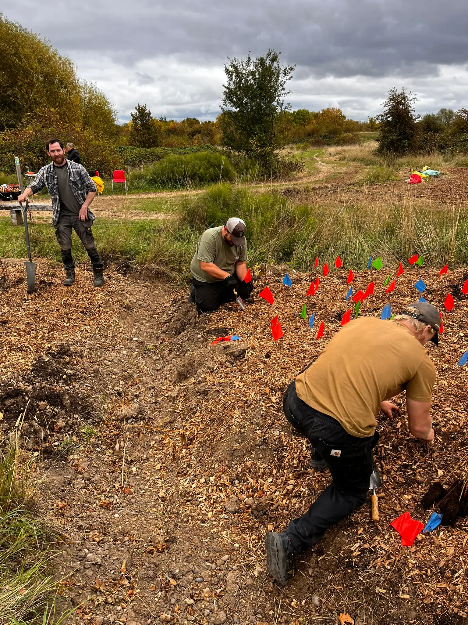 Three individuals are working outdoors, digging in a field with small plants and trees in the background.