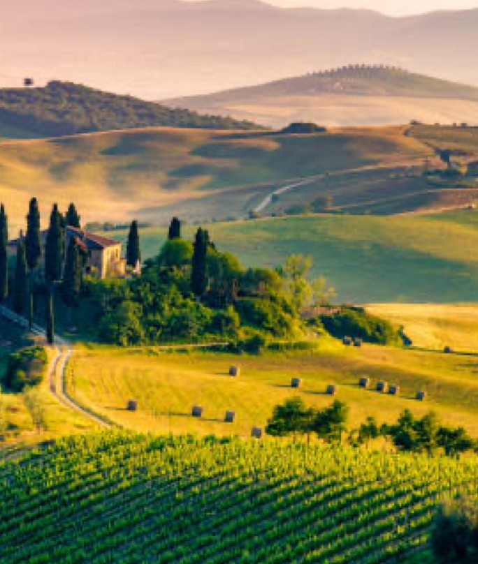 a man holding a microphone in his hands