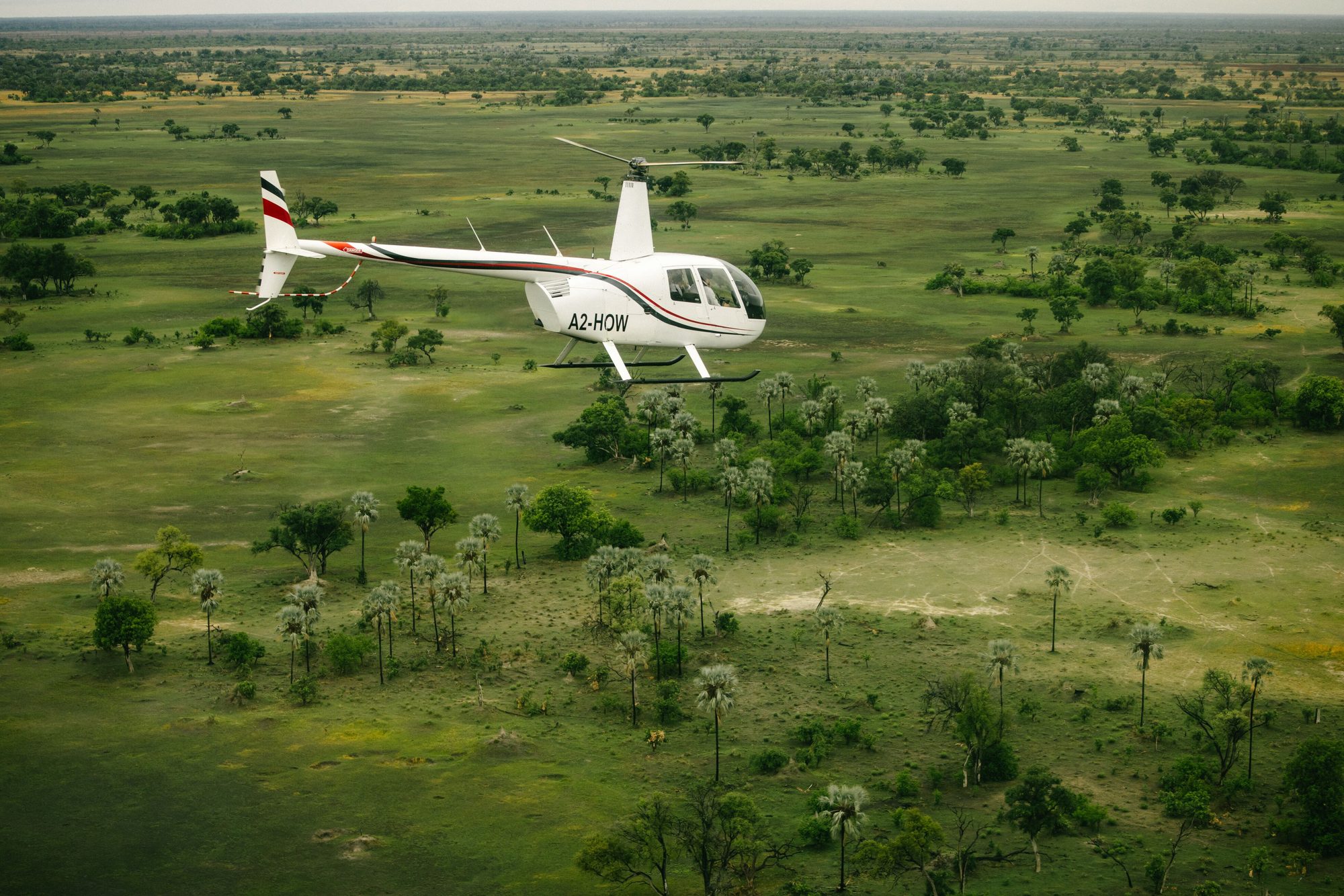 A white helicopter flies low over green floodplain dotted with palm-tree islands and scattered trees in Botswana.