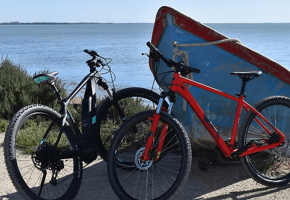 a woman getting a back massage at a spa