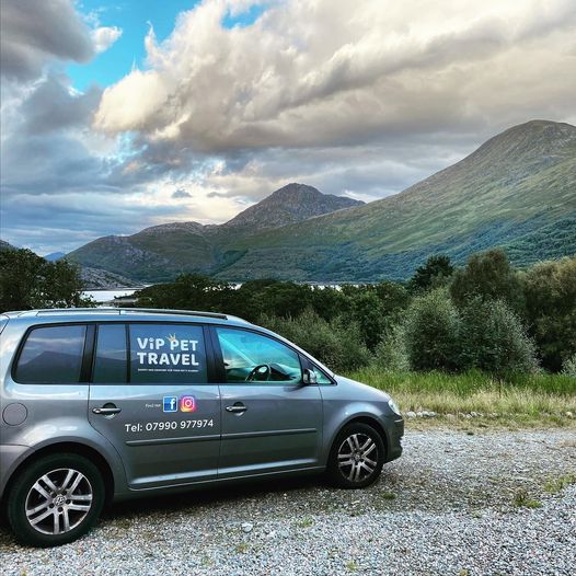 VIP Pet Travel branded van – personalised UK pet transport